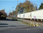 NJT Multilevel coaches